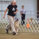 Obedience Trial
