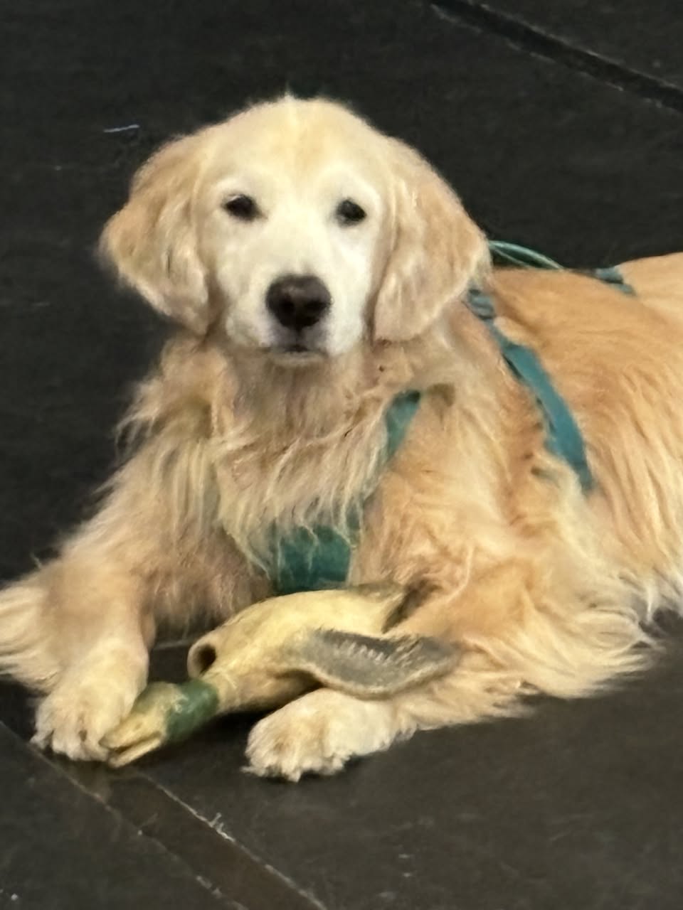 467439982_10227706378584472_4511984047269819771_n