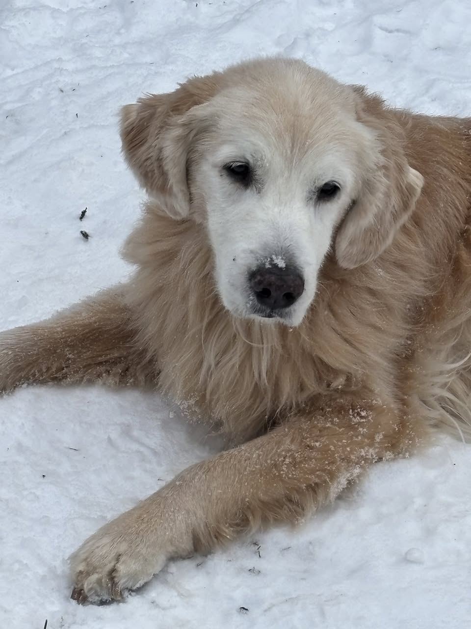 473591720_10228230018555144_8793016369345974116_n