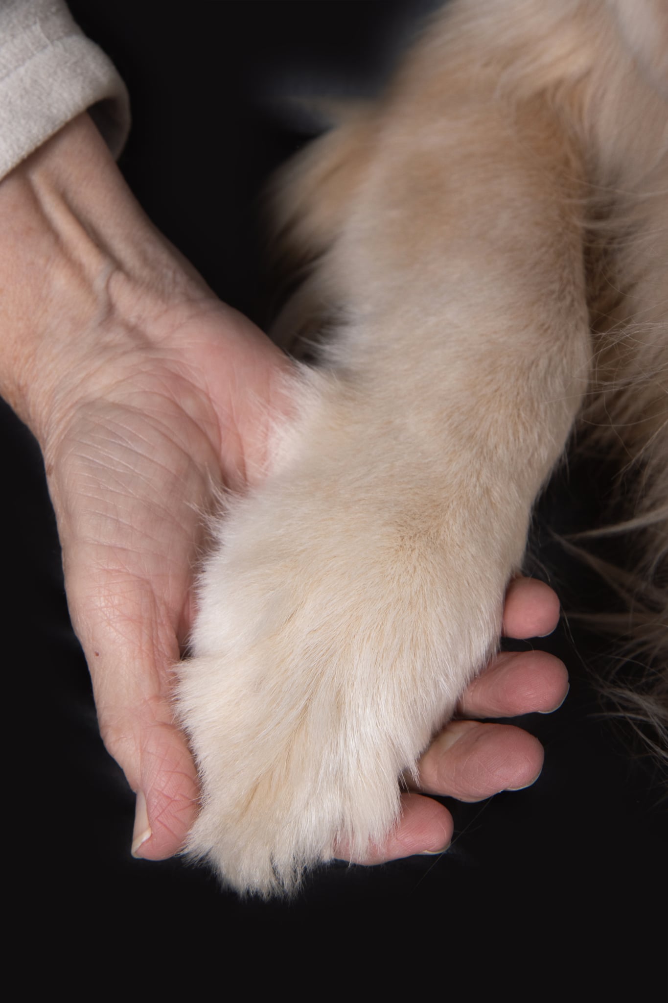 582440850_10231925186732039_1669984062972131931_n