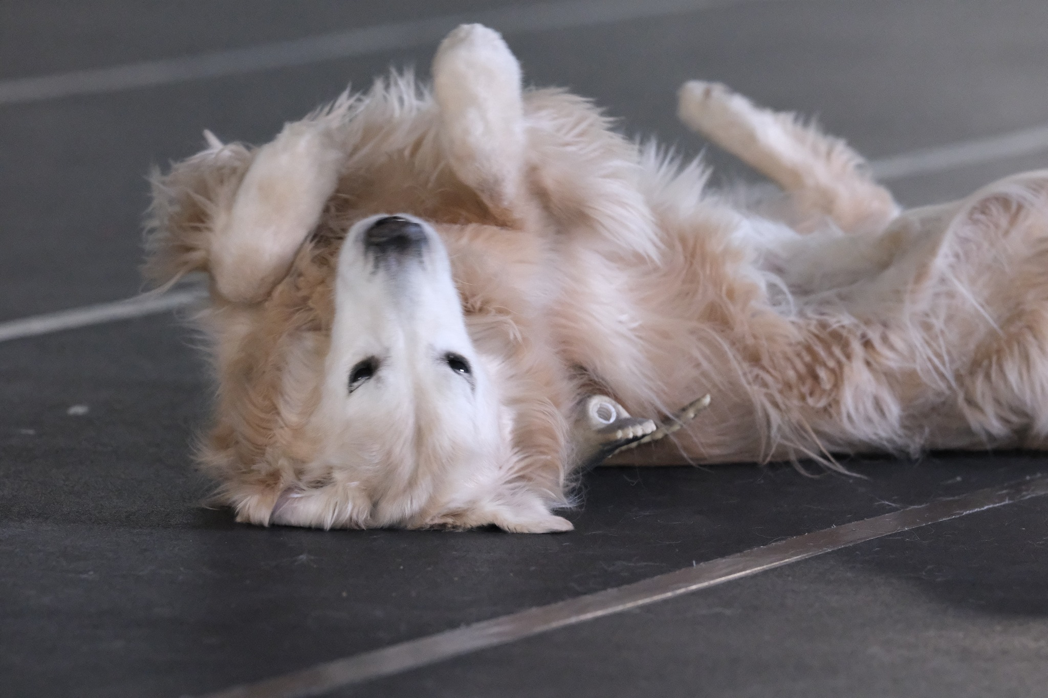 584441689_10231925214292728_5059707692620431518_n